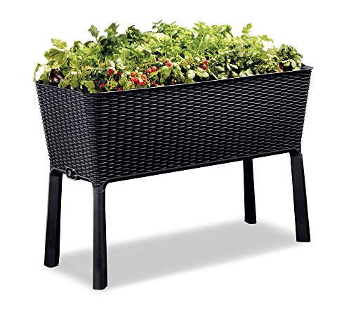 Keter Easy 31.7 Gallon Raised Garden Bed with Self Watering Planter Box and Drainage Plug-Perfect for Growing Fresh Vegetables, Flowers and Herbs, Graphite