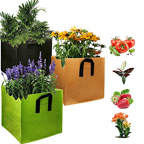 EIIORPO Plant Bags 3 Pack Colorful Mix ,Durable Grow Bags 3/5/7/10/20 Gallon Nonwoven Aeration Fabric Pots with Handles,Square Grow Containers for Vegetable/Flower/Nursery. (3-Pack-3 Gallon)