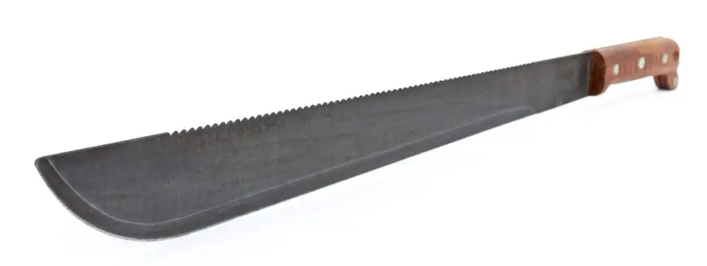 An example of a simple latin machete